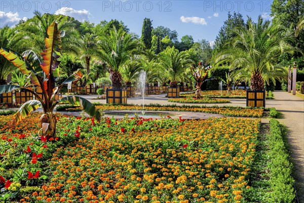 Palm garden in the spa gardens, the largest outdoor palm garden north of the Alps, spa town of Bad
