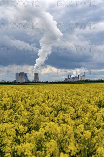 Neurath lignite-fired power station, near Grevenbroich, RWE Power AG, storm clouds over the Rhenish