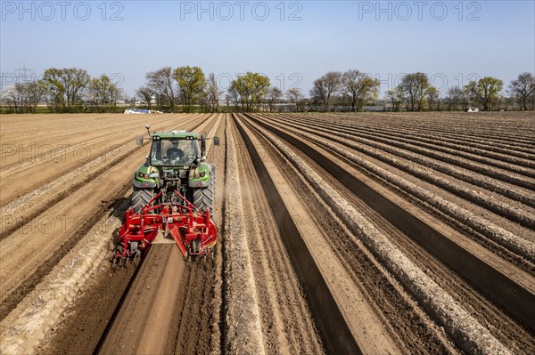 A farmer builds asparagus ridges on a field with the help of an asparagus tiller, in which the