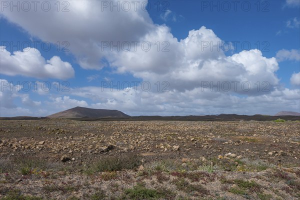 Volcanic landscape, fire mountains, volcanoes, Lanzarote, Canary Islands, Spain, Europe