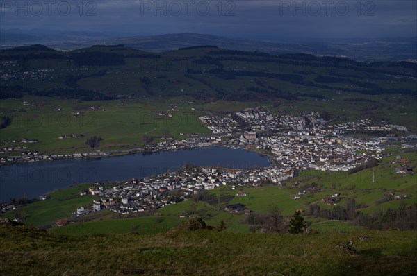 View from Seebodenalp to Küssnacht am Rigi SZ, Lake Lucerne, Canton Schwyz, Switzerland, Europe