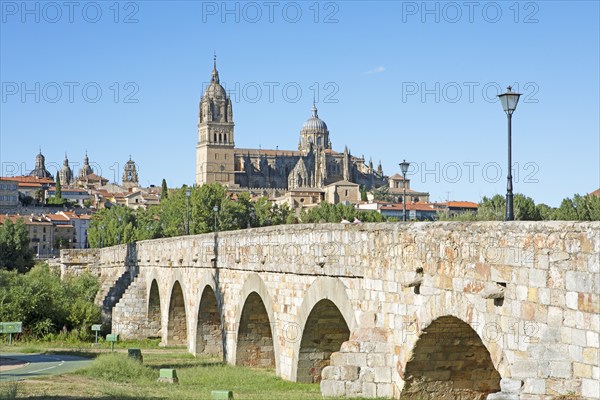 Puente Romano or Romanesque bridge, behind the cathedral of Salamanca, province of Salamanca,