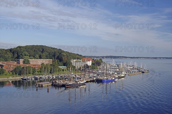 A harbour full of sailing ships, surrounded by buildings and green hills under a blue sky,