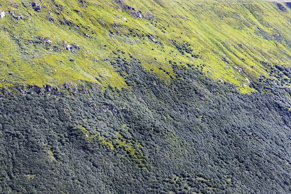 Landscape of the Swiss Alps above the tree line. Mountain slope on the Furka Pass near Obergoms,