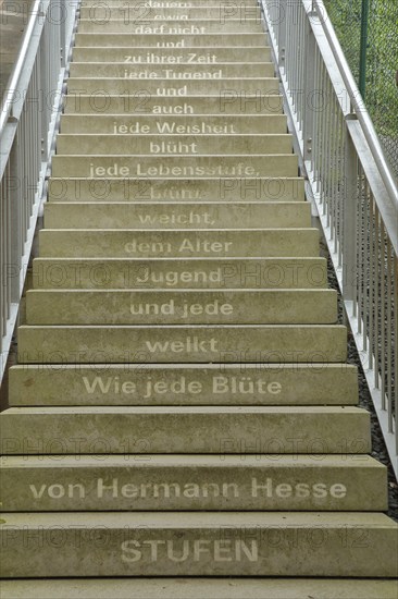 Staircase with poem Steps by Hermann Hesse, staircase with inscription, 'As every flower withers