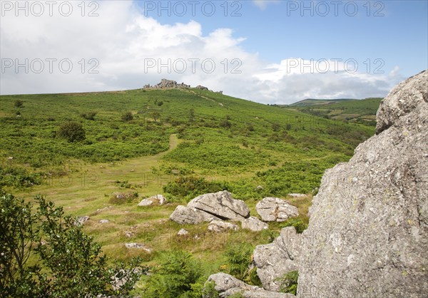 Granite upland landscape Hound Tor, Dartmoor national park, Devon, England, UK