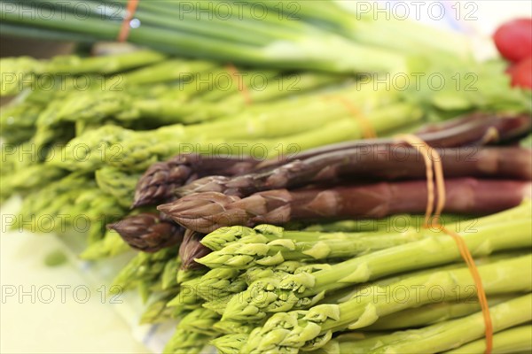 Green and purple asparagus, radishes in the background