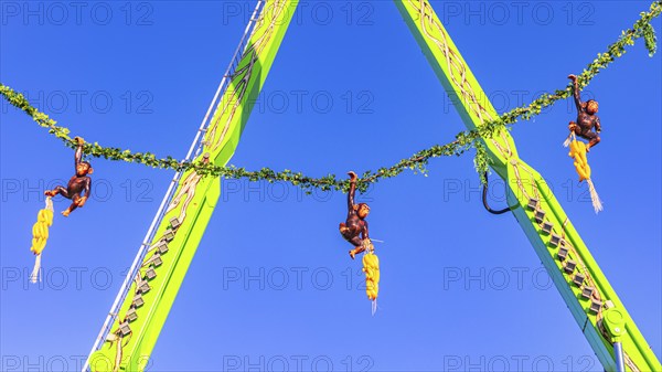 Monkey swing, Oktoberfest, Festwiese, Theresienwiese, Munich, Upper Bavaria, Bavaria, Germany,