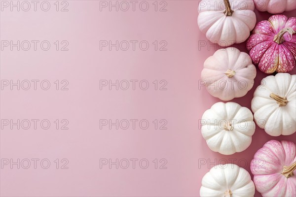 Top view of pink and white pumpkins on side of pastel pink background with copy space. Generative