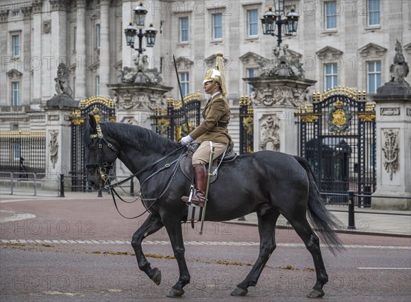 Military rider, horse, Trooping the colour, military parade in June in honour of the British