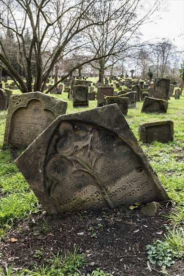Jewish cemetery Heiliger Sand, Worms, Rhineland-Palatinate, Germany, Europe