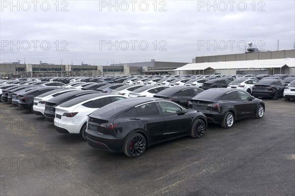Tesla Y models produced in the Tesla Giga Factory, Grünheide, 28.01.2023