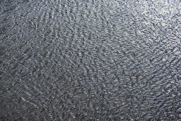 Structures of a water surface from the Main, Kitzingen, Lower Franconia, Bavaria, Germany, Europe