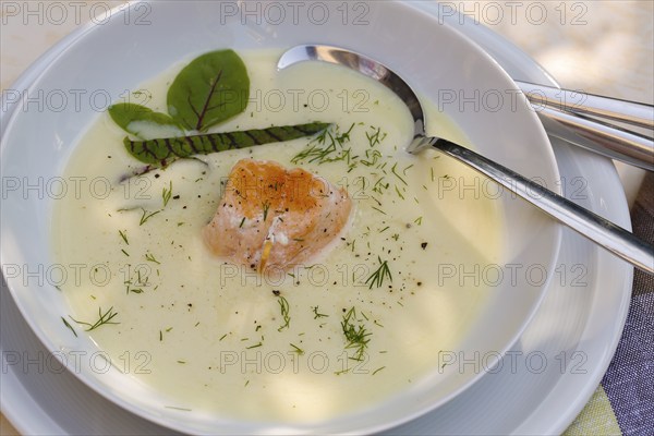 Southern German cuisine, sorrel soup with char, freshwater fish, soup arranged in a plate, herbs,