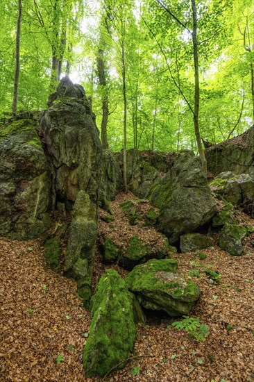The Felsenmeer in Hemer, Sauerland, geotope, with rugged rock formations, nature reserve, North