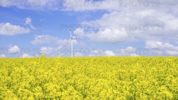 Tomerdingen wind farm, Swabian Alb, Baden-Württemberg, Germany, Europe