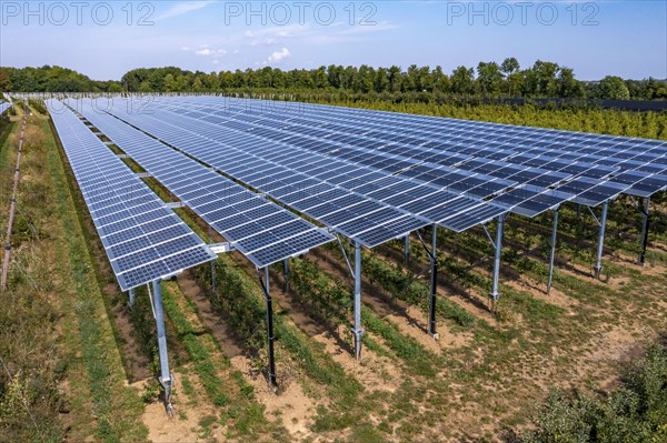 Agri-photovoltaic test plant, an apple orchard with two different systems of PV modules was roofed