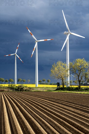 Wind turbines on a rape field, dark rain clouds, in the Rhenish lignite mining area, near