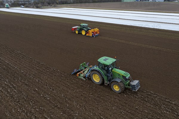 Lettuce plants are planted with a planting machine, tractor with roundabout harrow prepares the