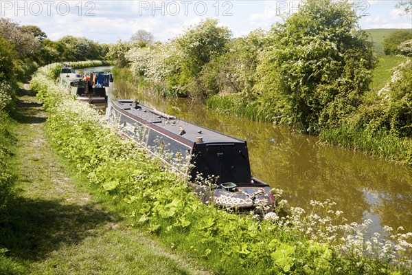 Kennet and Avon canal stretch between All Cannings and Alton Barnes, Vale of Pewsey, Wiltshire,