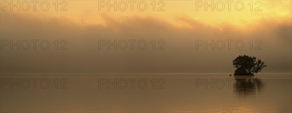 Sunrise at the Edersee with morning mist on the water, small island in the Eder dam, Ederstausee,
