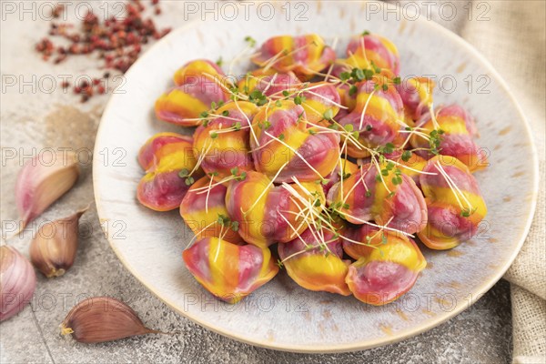 Rainbow colored dumplings with pepper, herbs, microgreen on brown concrete background and linen