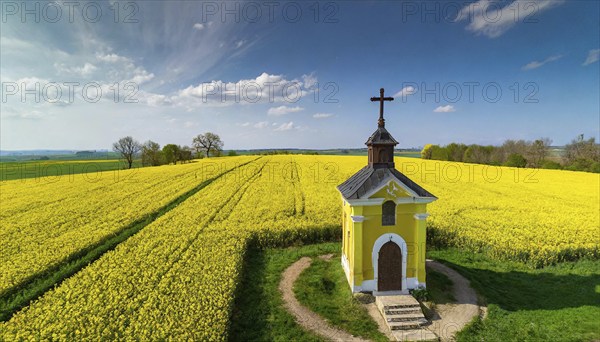 Agriculture, rape field, in full bloom, yellow, in it a small prayer chapel, aerial view, AI