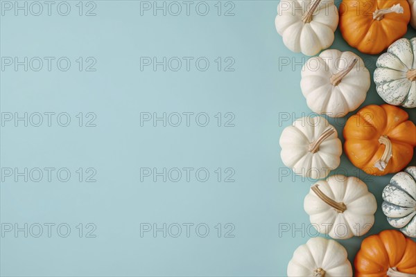 Orange and white pumpkins on pastel blue background with copy space. Generative Ai, AI generated