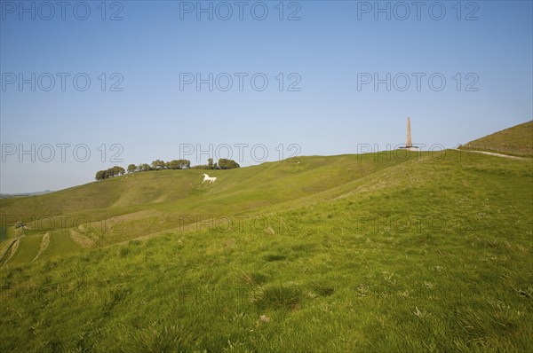 Scarp slope of White Horse on Cherhill Down and Lansdowne monument, Cherhill, Wiltshire, England,
