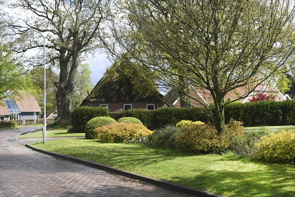 NL, Eesergroen: Spring shapes the landscape, cities and people in the province of Drenthe in the