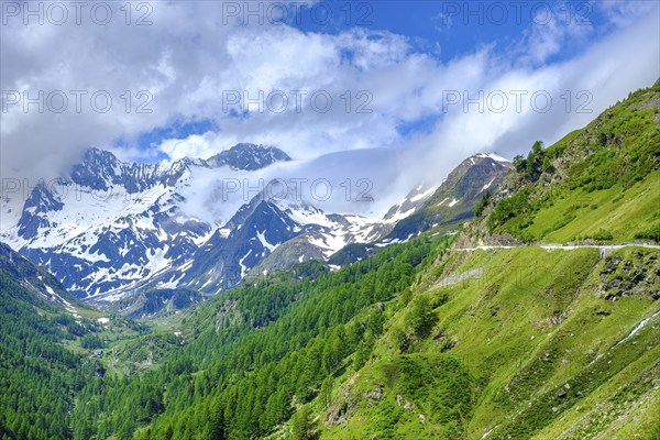 Mountain landscape in the Passeier Valley near Rabenstein above moss in Passeier, South Tyrol,