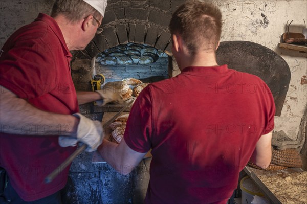 Freshly baked wood-fired bread is taken out of the wood-fired oven, Franconia, Bavaria, Germany,