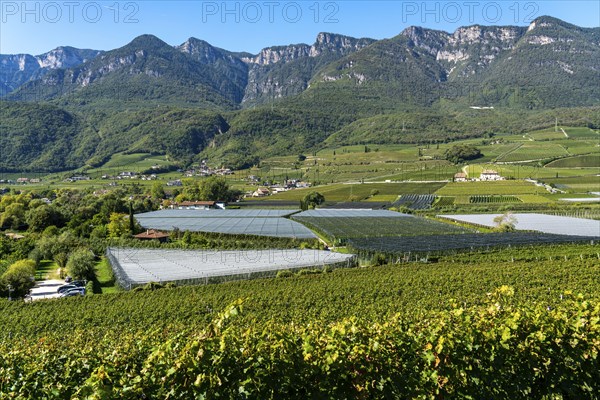 Apple-growing area and wine-growing, in the Adige Valley, South Tyrol, large areas under