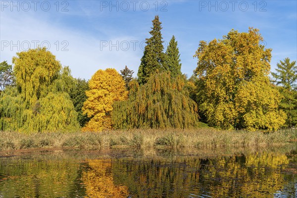 Trees with colourful leaves in autumn by a pond, Wiesenburg Castle Park, International Art Trail,