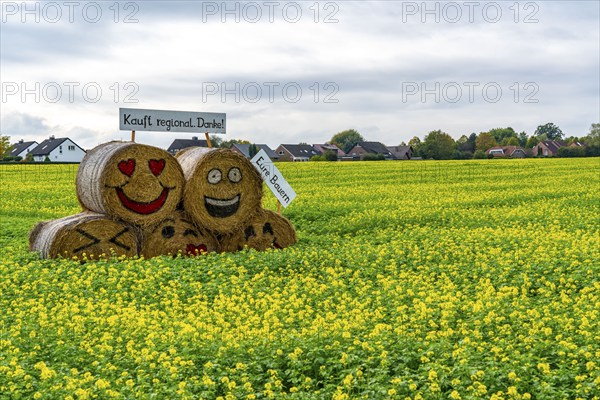Advertising for regional purchasing, from farmers in the region, straw bales in a rapeseed field