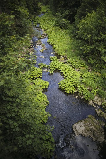 The Selbitz river flows through the Höllental valley between Thuringia and Bavaria. Lichtenberg, 21