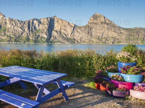 Rest stop, rest area, at the Mefjord, flowers planted in old tires, view to mountain Segla (right)