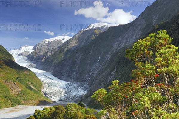 View from Sentinel Rock to Franz Josef Glacier, Westland National Park, South West New Zealand