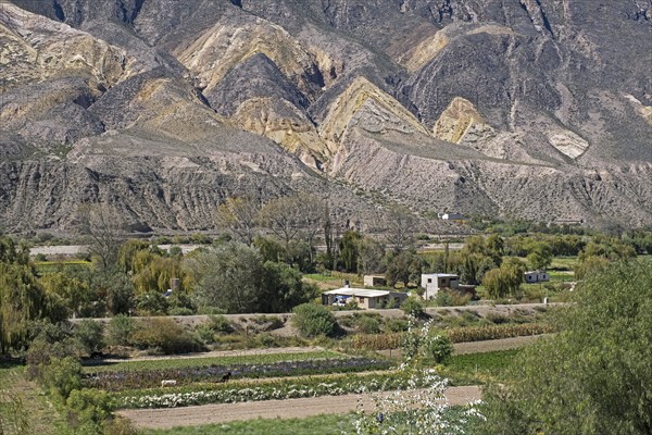 Farm near the village Maimará at foot of the mountain Paleta del Pintor, Painter's Palette in the