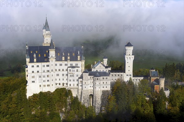 Neuschwanstein Castle near Hohenschwangau, Romantic Road, Ostallgäu, Bavaria, Germany, Europe