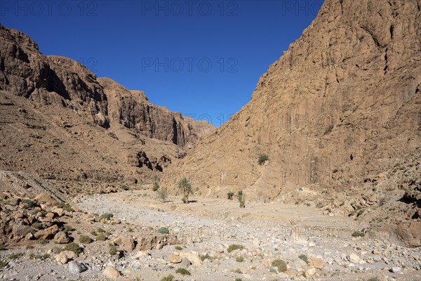 Todra Gorge or Gorges du Toudra, near Tinghir, Morocco, Africa