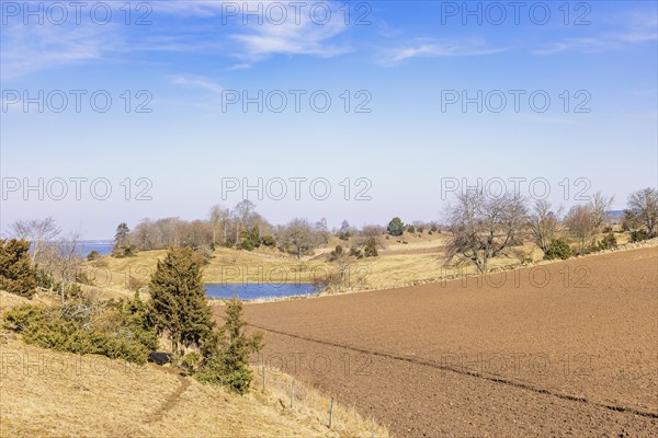 Newly sown fields in an cultivated rolling landscape at springtime