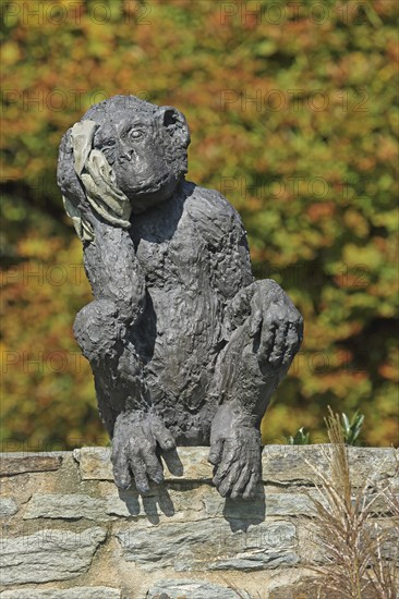 Sculpture A & E Monkey by Laura Ford, monkey figure, sitting, detail, head, headache, injury, head