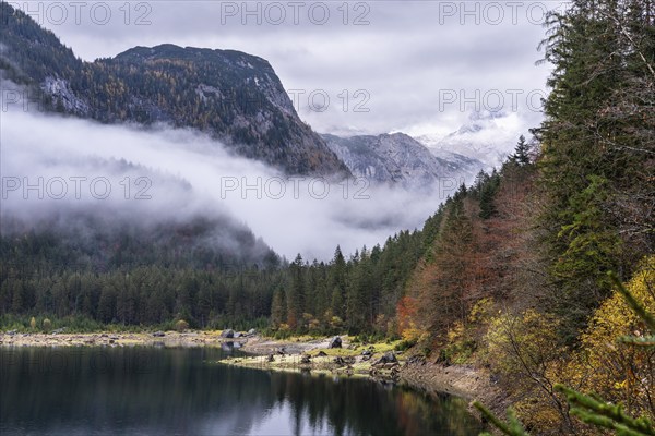 The Vordere Gosausee in autumn. On the right, the Dachstein mountains in clouds. Cloudy sky. Cloudy