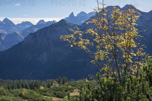 Autumn in the Allgäu, mountain panorama from Fellhorn 2037m, on Großer Krottenkopf, 2656m and
