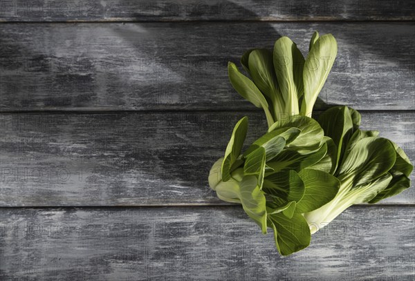 Fresh green bok choy or pac choi chinese cabbage on a gray wooden background. Hard light, contrast.