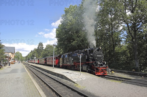 Harz narrow gauge railway with steam locomotive in station, train, Drei Annen Hohne, Wernigerode,