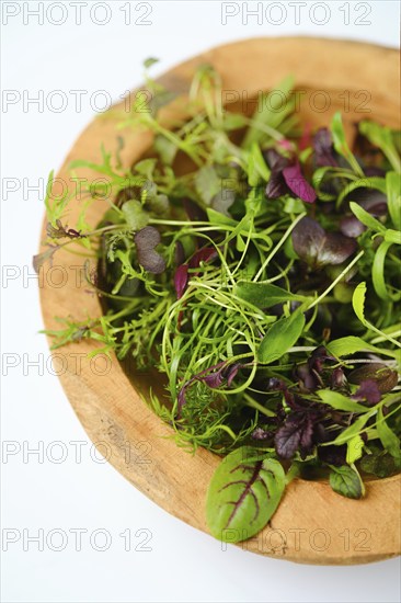Top view of wooden bowl with different microgreens on white background