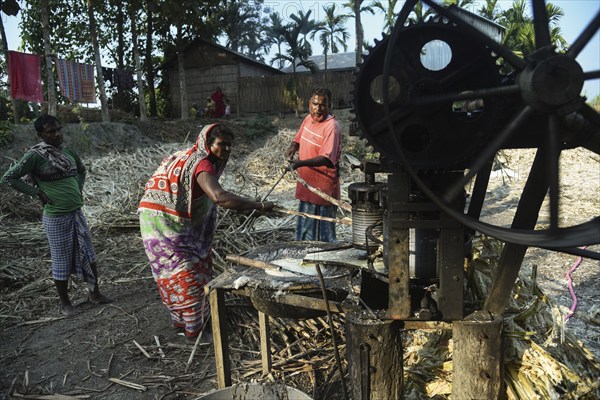 Workers making sugarcane juice to production of Gur (jaggery) in a village on December 10, 2021 in