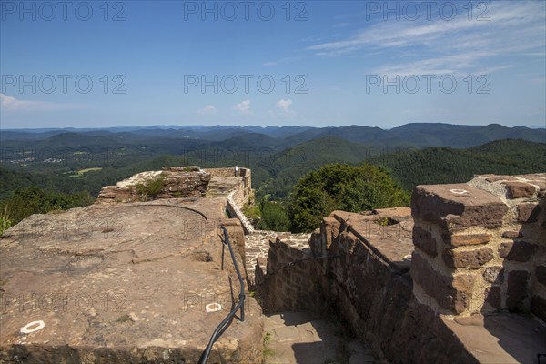Wegelnburg Castle in the Palatinate Forest-North Vosges biosphere reserve. At 570.9 metres above